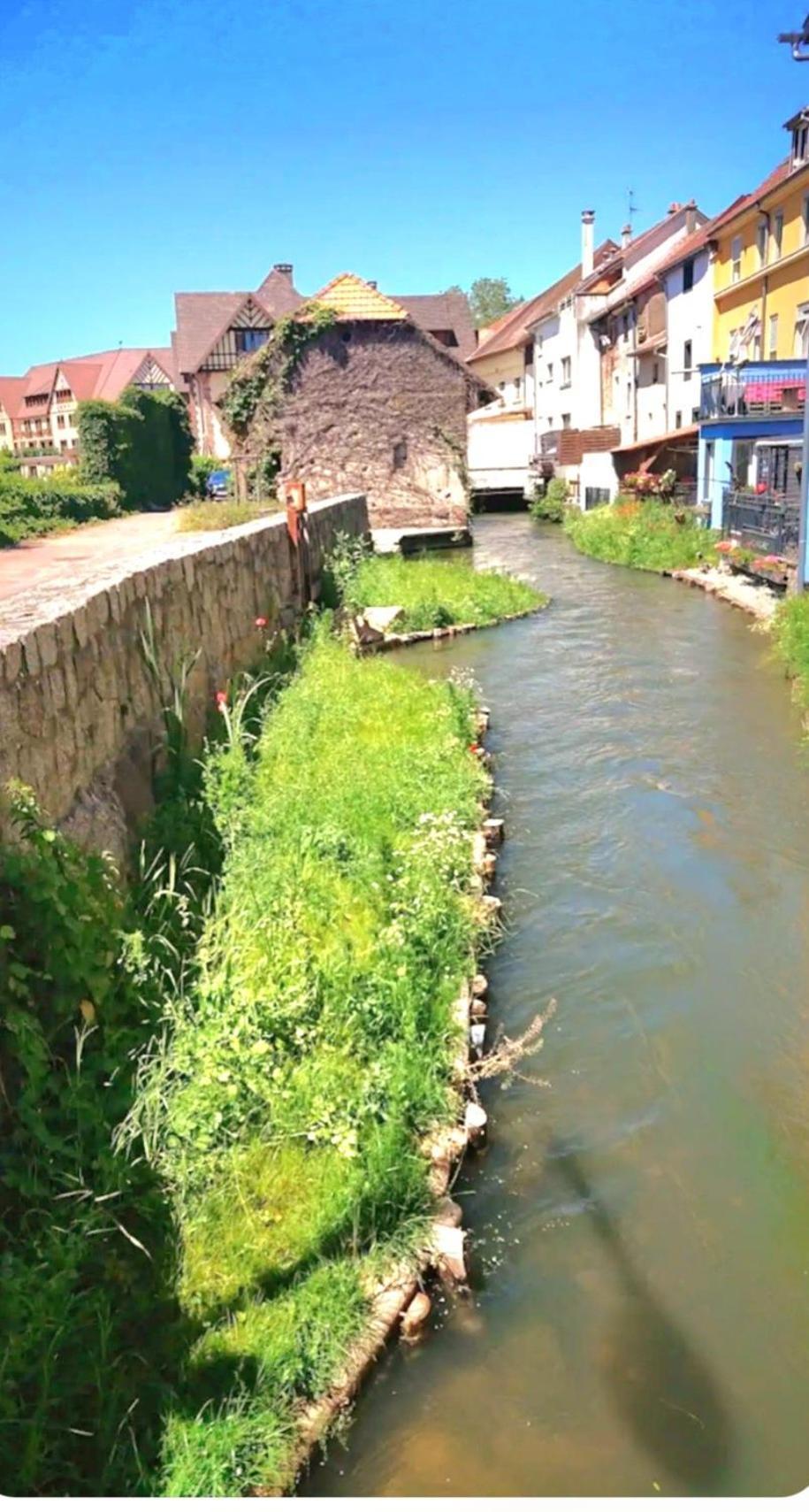 엔지스하임 L'Atypique Des Remparts 빌라 외부 사진
